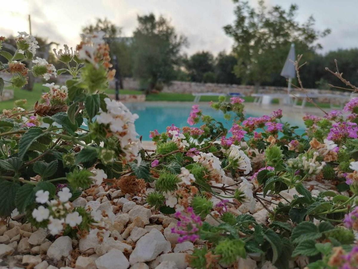 Casale Dolina Verde Ostuni Kültér fotó